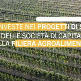 Ismea investe: sostegno ai progetti di sviluppo della filiera agroalimentare italiana