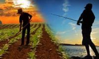 Proroga agevolazioni Covid per agricoltura e pesca