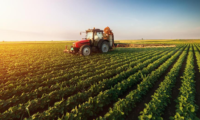 Pubblicato il decreto per gli aiuti ISMEA alle imprese agricole