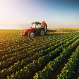 Pubblicato il decreto per gli aiuti ISMEA alle imprese agricole